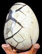 Septarian Dragon Egg Geode - Crystal Filled #40901-2